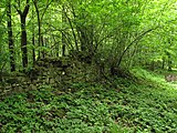 Čeština: Zeď pod keři Třebotovského židovského hřbitova. Okres Praha-západ, Česká republika. English: Wall under bushes of the jewish cemetery in Třebotov village, Prague-West District, Czech Republic.