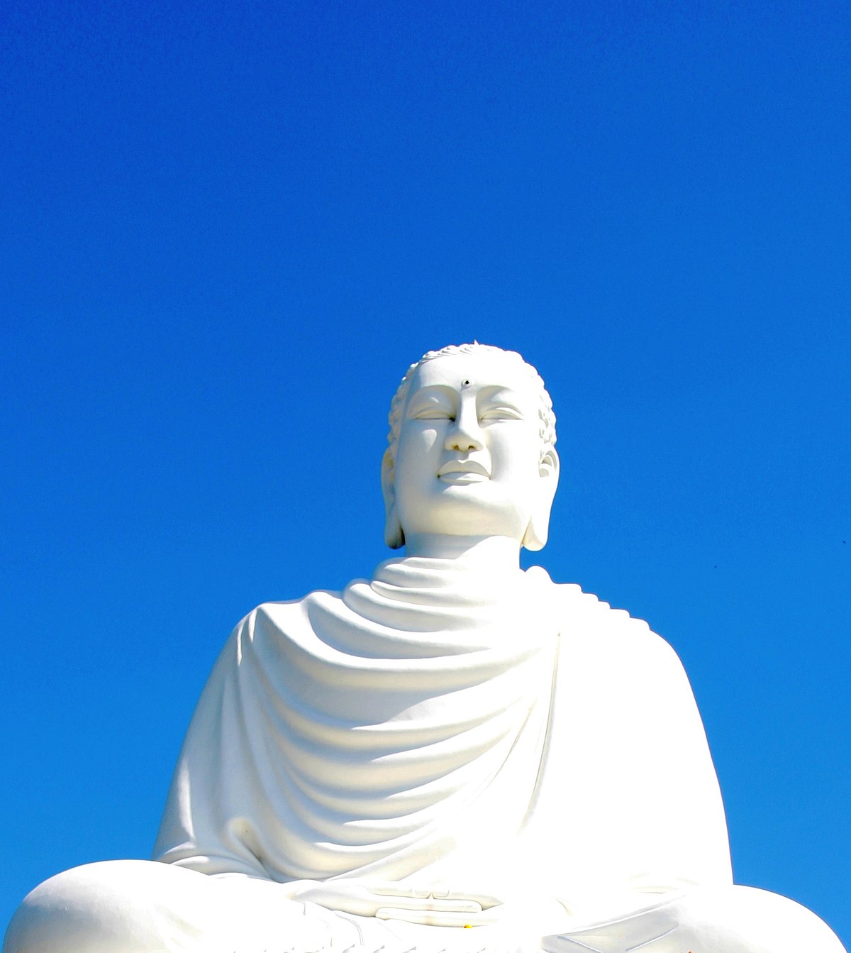 Phật giáo Việt Nam – Wikipedia tiếng Việt