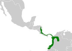 Tachyphonus delatrii map.svg