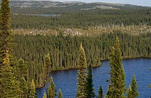 Typical upland taiga in Quebec Taiga Landscape in Canada.jpg