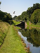 Tame Valley Canal and heron (C)