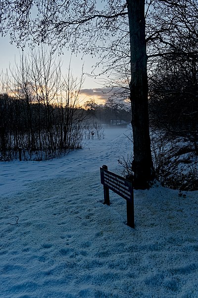 File:Texel - Kwekerijweg - Woutershok - Winterview WSW.jpg