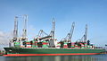 Thalassa Patris (ship, 2013) IMO 9665607 Amazonehaven Port of Rotterdam pic 7.JPG