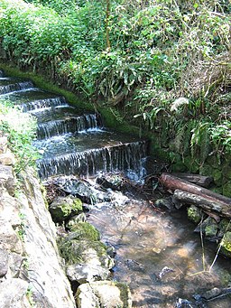 The Cascades in Brockhill Country Park - geograph.org.uk - 1274568