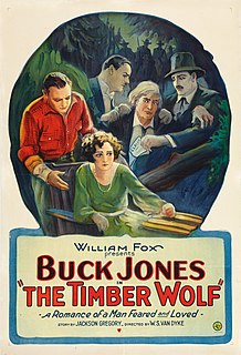 <i>The Timber Wolf</i> 1925 film