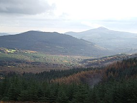 The forests of Glencree - geograph.org.uk - 627198.jpg