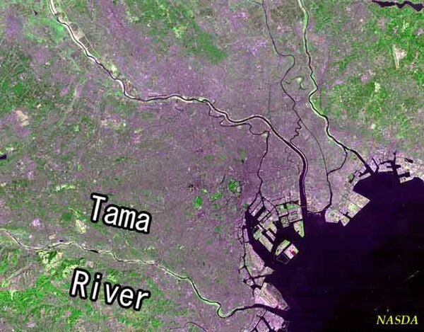 Tama River, in a Landsat photo of the Tokyo area