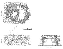 Orthographic view of an Early Iron Age hut tomb at Bilad al-Ma'din in eastern Oman. Tomb FEZ.tif