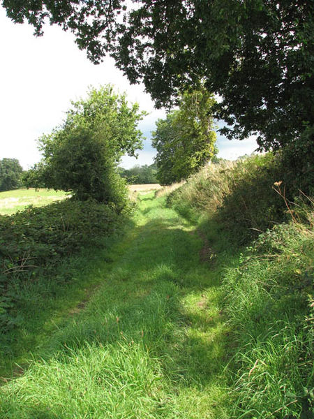 File:Track to Low Common - geograph.org.uk - 1440706.jpg