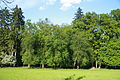 Čeština: Stromy poblíž hájenky v Náměšťské oboře v Kralicích nad Oslavou, okr. Třebíč. English: Trees near house in Náměšťská obora in Kralice nad Oslavou, Třebíč District.