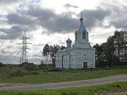 Трубичинское сельское поселение новгородский