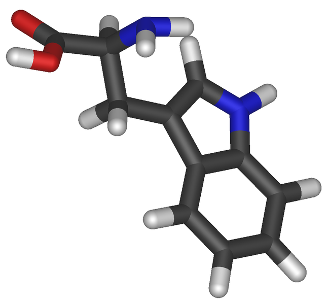 File:Tryptophan3d.png