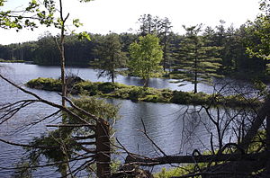 The lake seen from the campsite