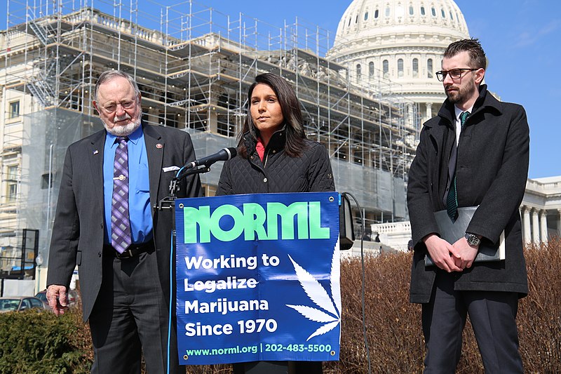 File:Tulsi Gabbard Don Young Erik Altieri NORML 2.jpg