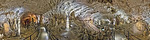 Peștera Postojna: Istoric, Geneza, Mediu natural