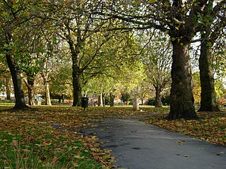 <span class="mw-page-title-main">Vauxhall Park</span>