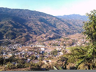 <span class="mw-page-title-main">New Palin</span> Town in Arunachal Pradesh, India