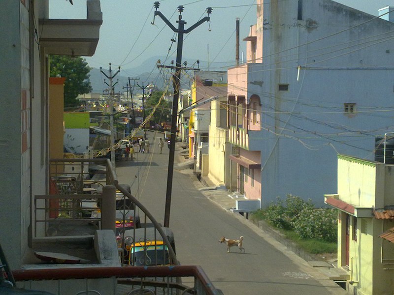 File:View of street in nethimedu - panoramio.jpg