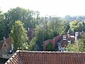 View on Bruges from De Halve Maan brewery (9).jpg
