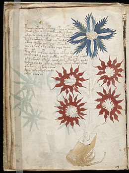 Voynich Manuscript (32).jpg