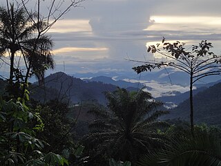 Wabane Commune and town in Wabane Sub-Division, Cameroon