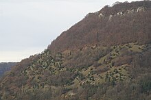 Ökologisch wertvolle Wacholderheide auf der Nordalb bei Deggingen