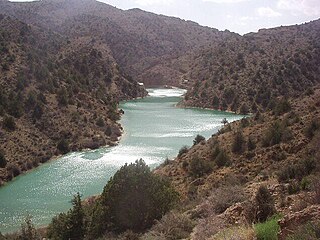 <span class="mw-page-title-main">Wali Tangi Dam</span> Dam