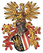 Ærkehertugdømmet Østrigs våbenskjold over Enns.jpg