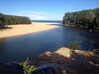 <span class="mw-page-title-main">Wattamolla</span> Cove and beach in New South Wales, Australia