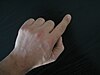 Index finger.jpg