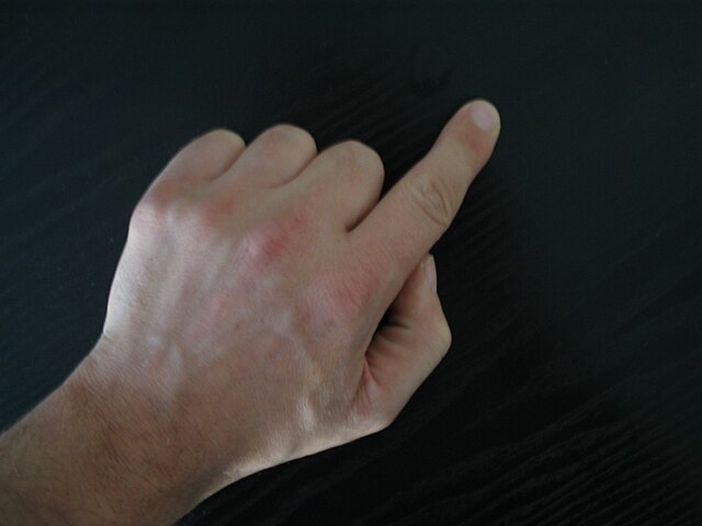 Index finger - Wikipedia