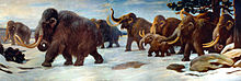 Mural depicting a herd walking near the Somme River in France, by Charles R. Knight, 1916 Wooly Mammoths.jpg