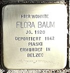 Worms Stolperstein Gymnasiumstraße 6 Flora Baum.jpg