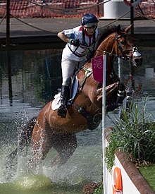 סוס חום כהה עם רוכב על גבו באוויר, קופץ מהמים לנחות על גדת עשב.