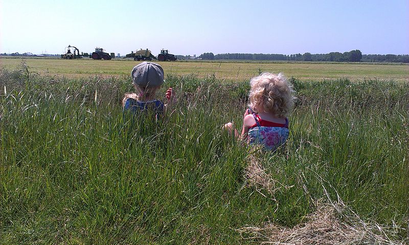 File:Zoeterwoude, Netherlands - panoramio.jpg