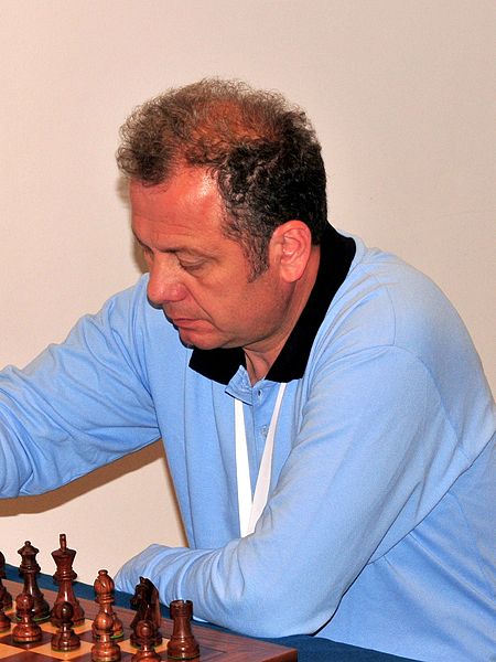 File:Zvonko Stanojoski 2013.jpg