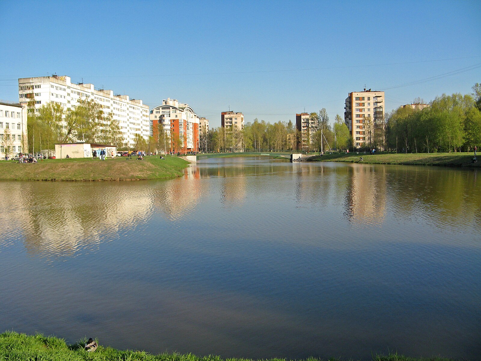 река дачная санкт петербург