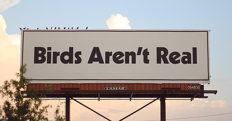 Birds Arent Real Billboard