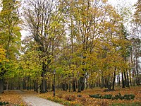 Kochubeyevsky Park