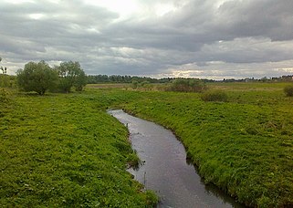 река Белица у южной окраины агрогородка Ковали