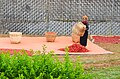 Сhili harvest, Myanmar