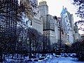 (2005) Central Park South.jpg