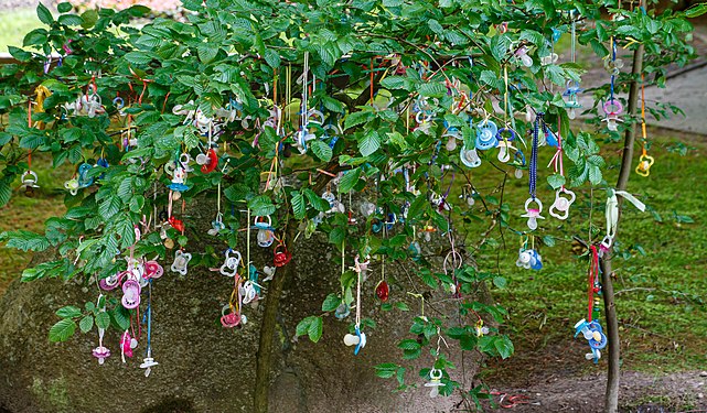 Lost pacifiers on the pacifier tree in the Lüneburg Heath Wildlife Park