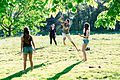 Studenti universitari statunitensi giocano a frisbee durante un picnic