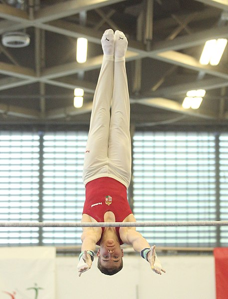 File:2019-05-25 Budapest Cup age group II all-around competition horizontal bar (Martin Rulsch) 023.jpg