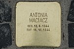 2019-11-24 120447 Burgwedel Stolperstein Antonia Maciacz.jpg