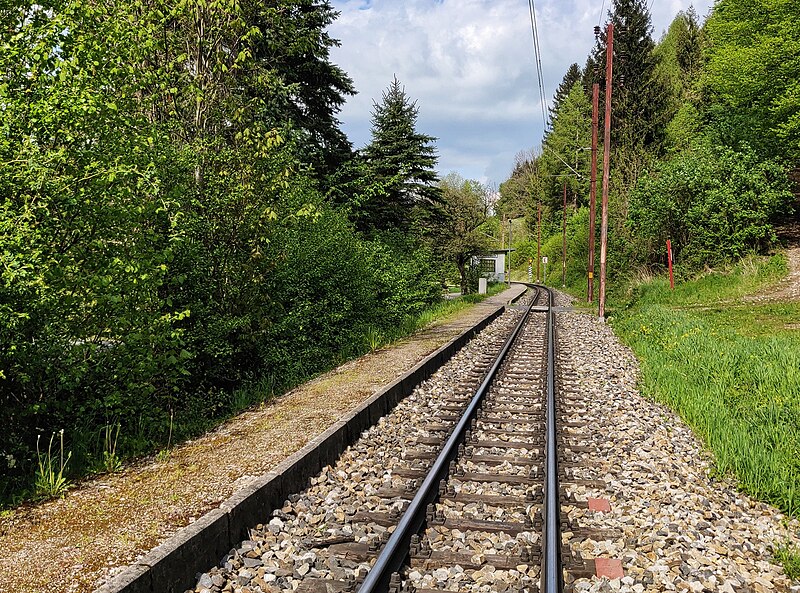 File:2020-05-03 SchwerbachBf railway-station 2.jpg