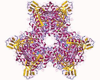 <span class="mw-page-title-main">Atrazine chlorohydrolase</span> Enzyme