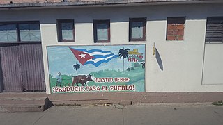 <span class="mw-page-title-main">National Association of Small Farmers</span> Cuban cooperative federation