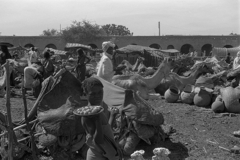 File:ASC Leiden - NSAG - van Es 6 - 021 - Un marché. Un garçon avec des tresses tient une assiette de tomates - Abéché, Ouaddaï, Tchad - 1M-2-1962.tif